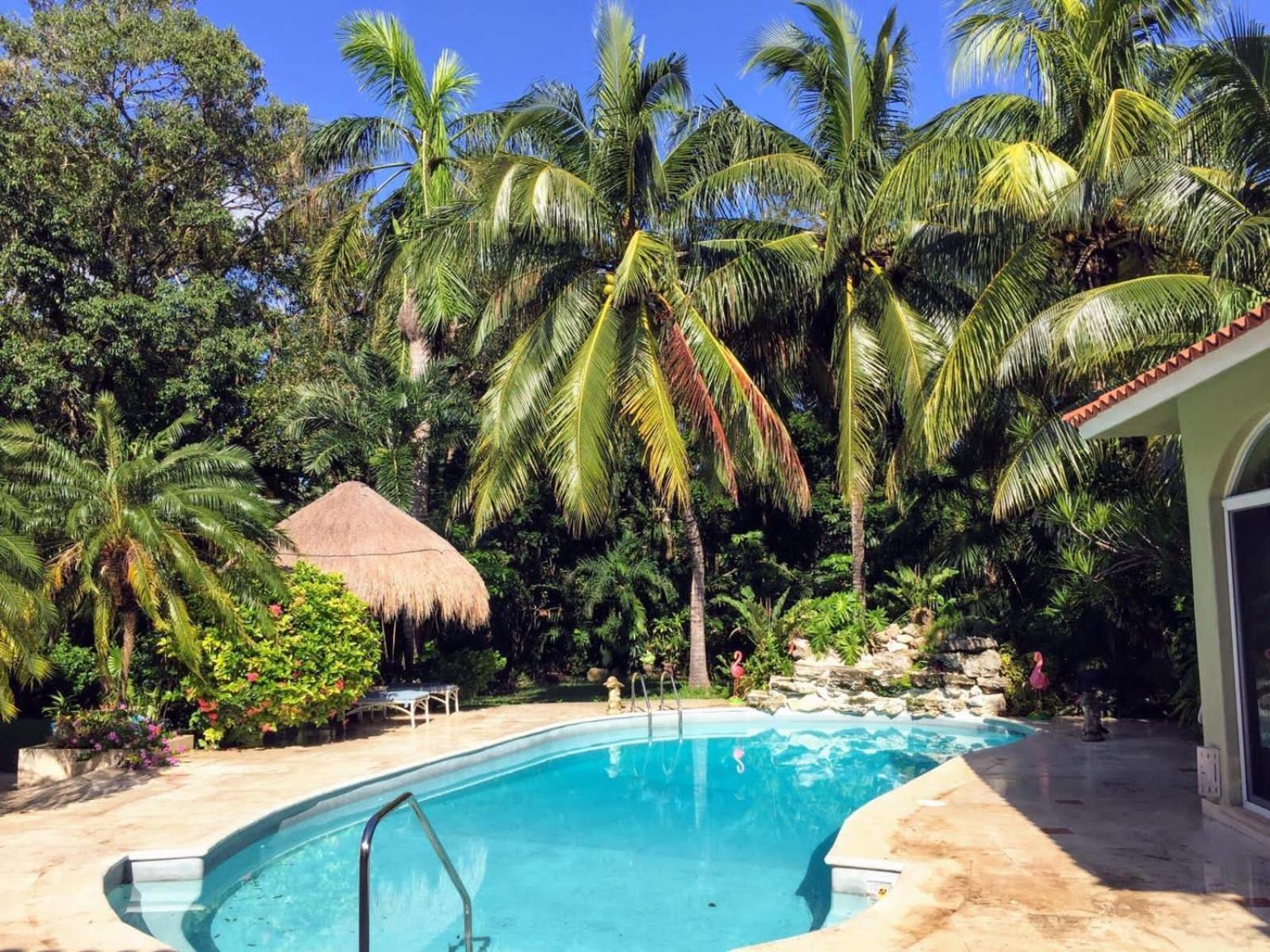 Casa Beard, Spacious Guest House With High Speed Wifi & Pool. Playa del Carmen Exterior foto